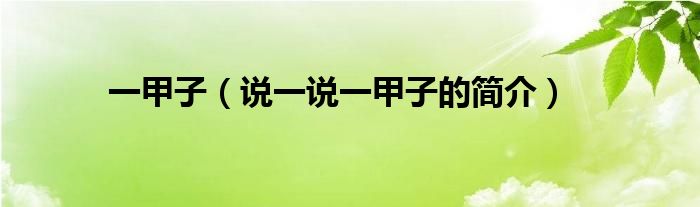 一甲子（说一说一甲子的简介）