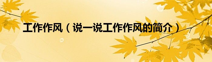 工作作风（说一说工作作风的简介）