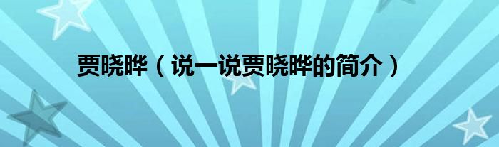 贾晓晔（说一说贾晓晔的简介）