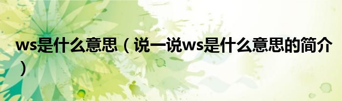 ws是什么意思（说一说ws是什么意思的简介）