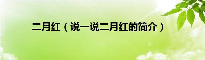 二月红（说一说二月红的简介）