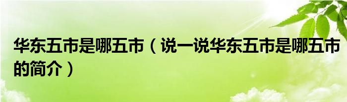 华东五市是哪五市（说一说华东五市是哪五市的简介）
