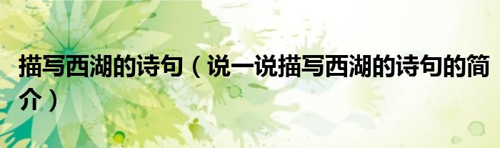 描写西湖的诗句（说一说描写西湖的诗句的简介）