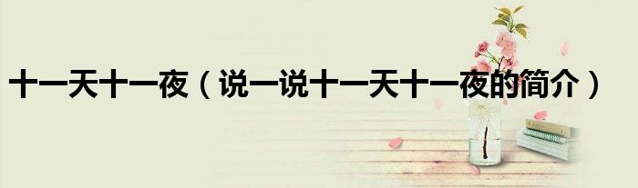 十一天十一夜（说一说十一天十一夜的简介）