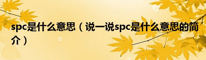 spc是什么意思（说一说spc是什么意思的简介）