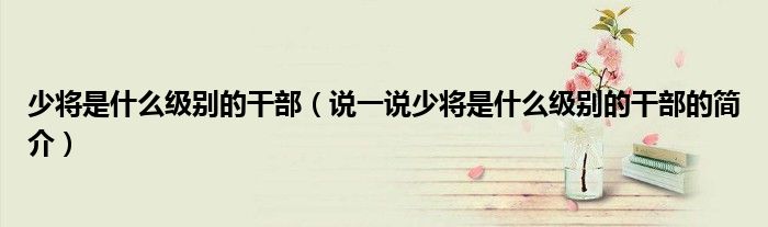 少将是什么级别的干部（说一说少将是什么级别的干部的简介）