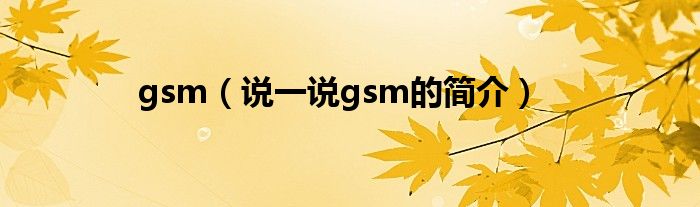 gsm（说一说gsm的简介）