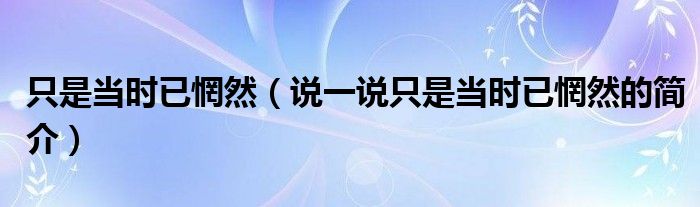 只是当时已惘然（说一说只是当时已惘然的简介）