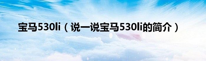 宝马530li（说一说宝马530li的简介）