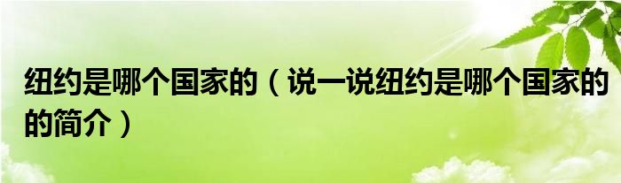 纽约是哪个国家的（说一说纽约是哪个国家的的简介）