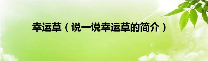 幸运草（说一说幸运草的简介）
