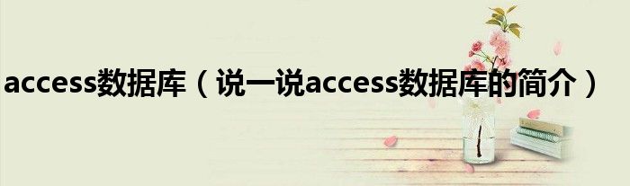 access数据库（说一说access数据库的简介）