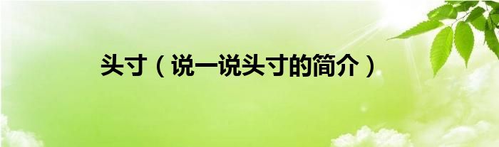 头寸（说一说头寸的简介）