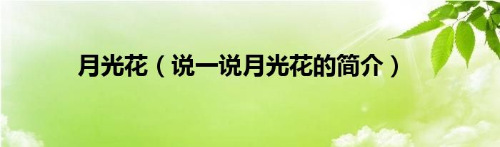月光花（说一说月光花的简介）