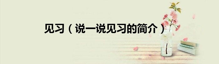 见习（说一说见习的简介）