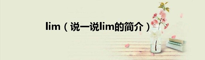 lim（说一说lim的简介）