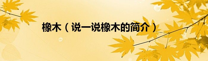 橡木（说一说橡木的简介）