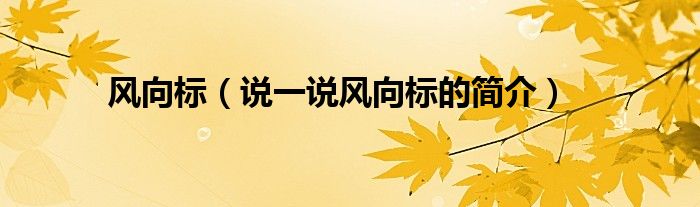 风向标（说一说风向标的简介）