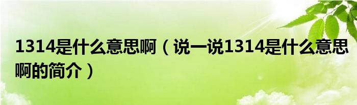 1314是什么意思啊（说一说1314是什么意思啊的简介）