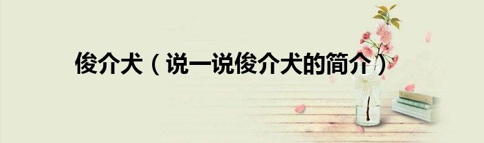 俊介犬（说一说俊介犬的简介）