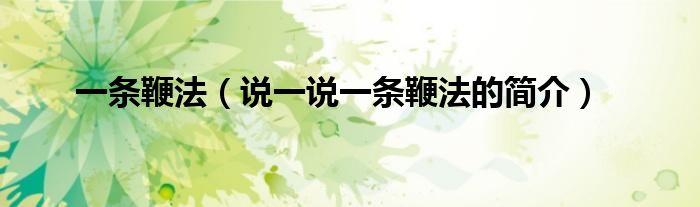 一条鞭法（说一说一条鞭法的简介）