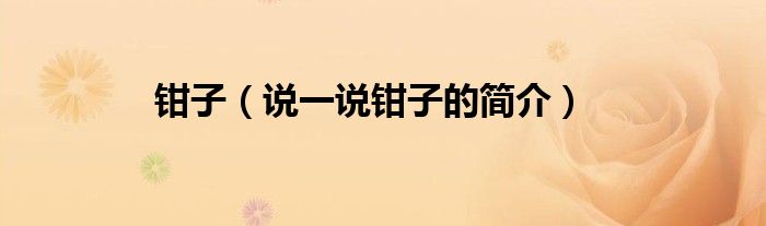 钳子（说一说钳子的简介）