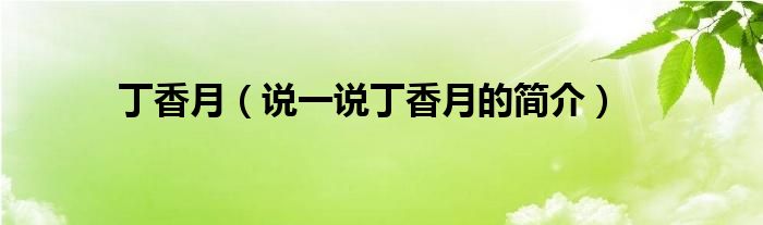 丁香月（说一说丁香月的简介）
