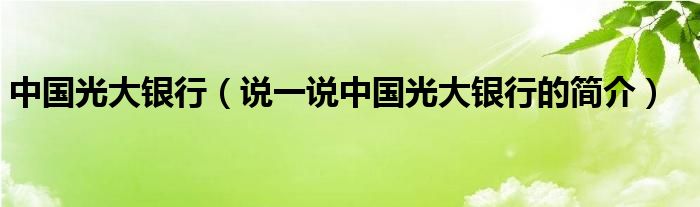 中国光大银行（说一说中国光大银行的简介）