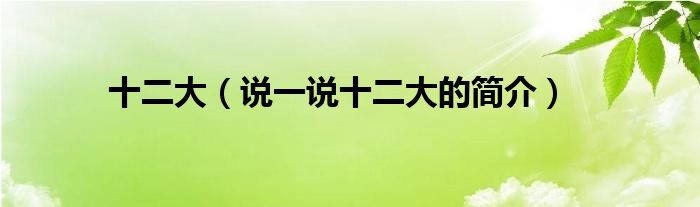 十二大（说一说十二大的简介）