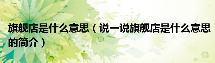 旗舰店是什么意思（说一说旗舰店是什么意思的简介）