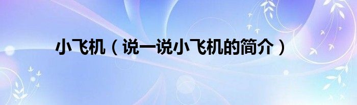 小飞机（说一说小飞机的简介）