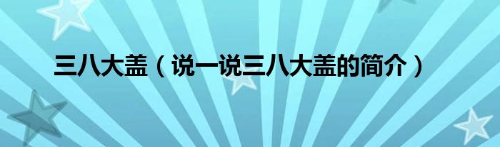 三八大盖（说一说三八大盖的简介）