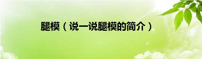 腿模（说一说腿模的简介）