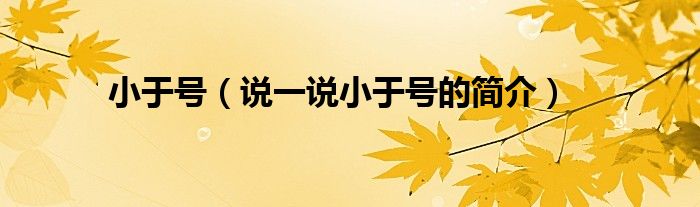 小于号（说一说小于号的简介）