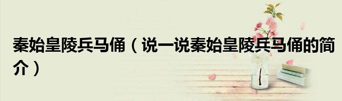秦始皇陵兵马俑（说一说秦始皇陵兵马俑的简介）