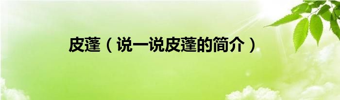 皮蓬（说一说皮蓬的简介）