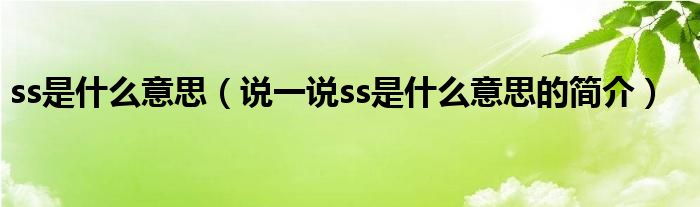 ss是什么意思（说一说ss是什么意思的简介）