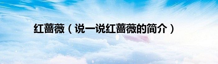 红蔷薇（说一说红蔷薇的简介）