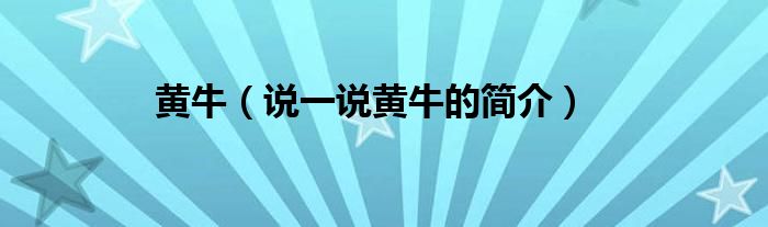 黄牛（说一说黄牛的简介）