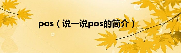 pos（说一说pos的简介）