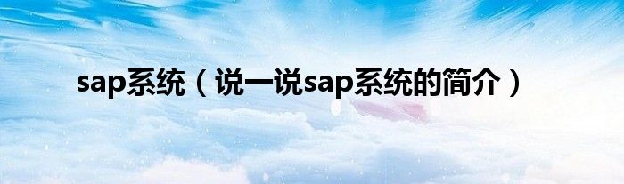 sap系统（说一说sap系统的简介）