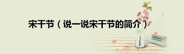 宋干节（说一说宋干节的简介）