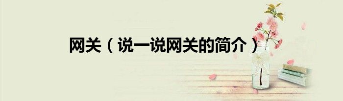 网关（说一说网关的简介）