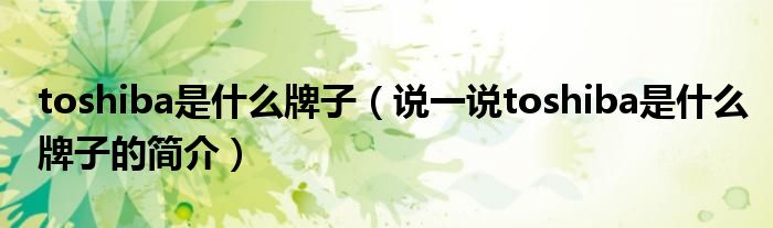 toshiba是什么牌子（说一说toshiba是什么牌子的简介）