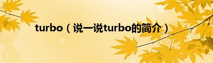 turbo（说一说turbo的简介）