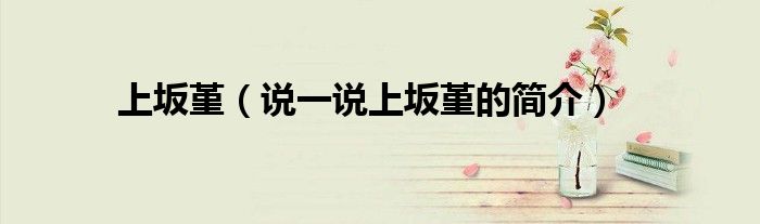 上坂堇（说一说上坂堇的简介）