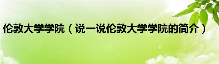 伦敦大学学院（说一说伦敦大学学院的简介）