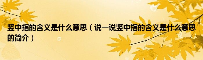 竖中指的含义是什么意思（说一说竖中指的含义是什么意思的简介）