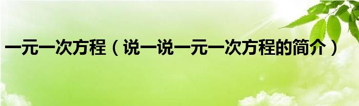 一元一次方程（说一说一元一次方程的简介）