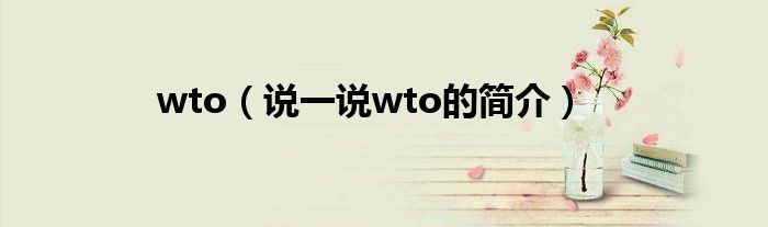 wto（说一说wto的简介）